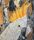 Sulphur-Crested Cockatoo (Billy)